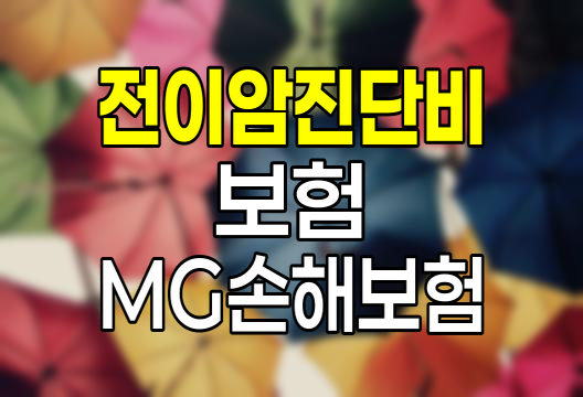 MG손해보험 전이암진단비 보험, 상세 분석 및 가입 고려사항