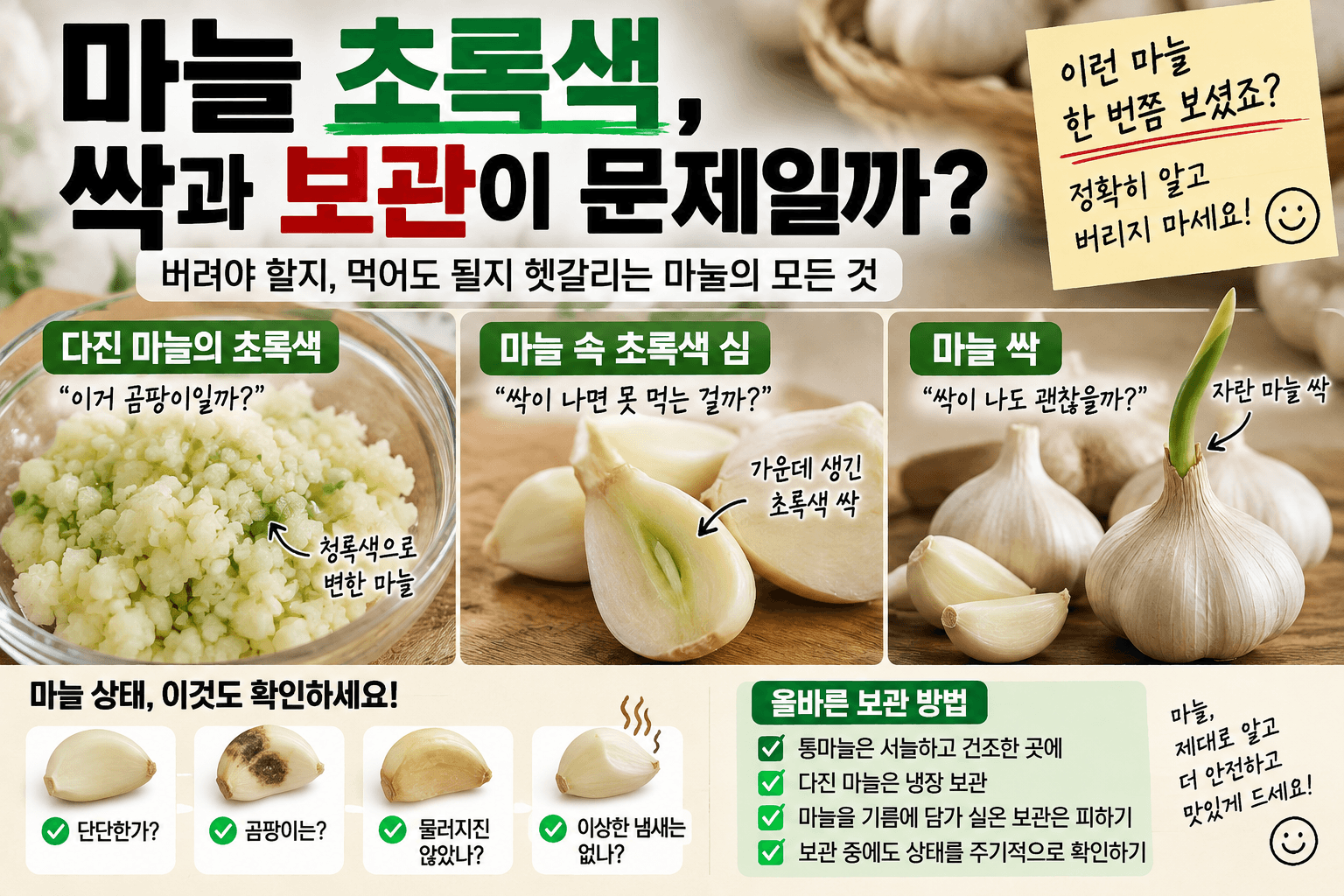 마늘 초록색