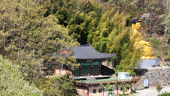 금륜사전경