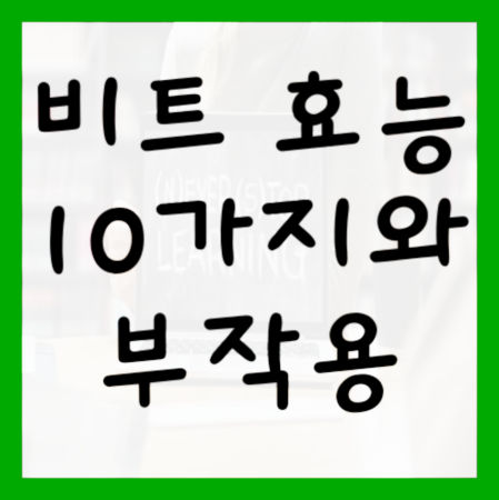 비트-효능-10가지-및-부작용-대표사진