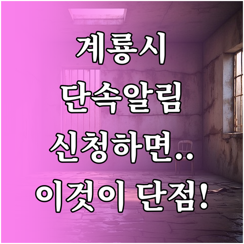 계룡시 주정차단속 알림 서비스 신청하..