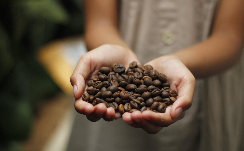 좋은 음식이란 무엇인가? &ndash; 도덕적 가치와 음식 선택