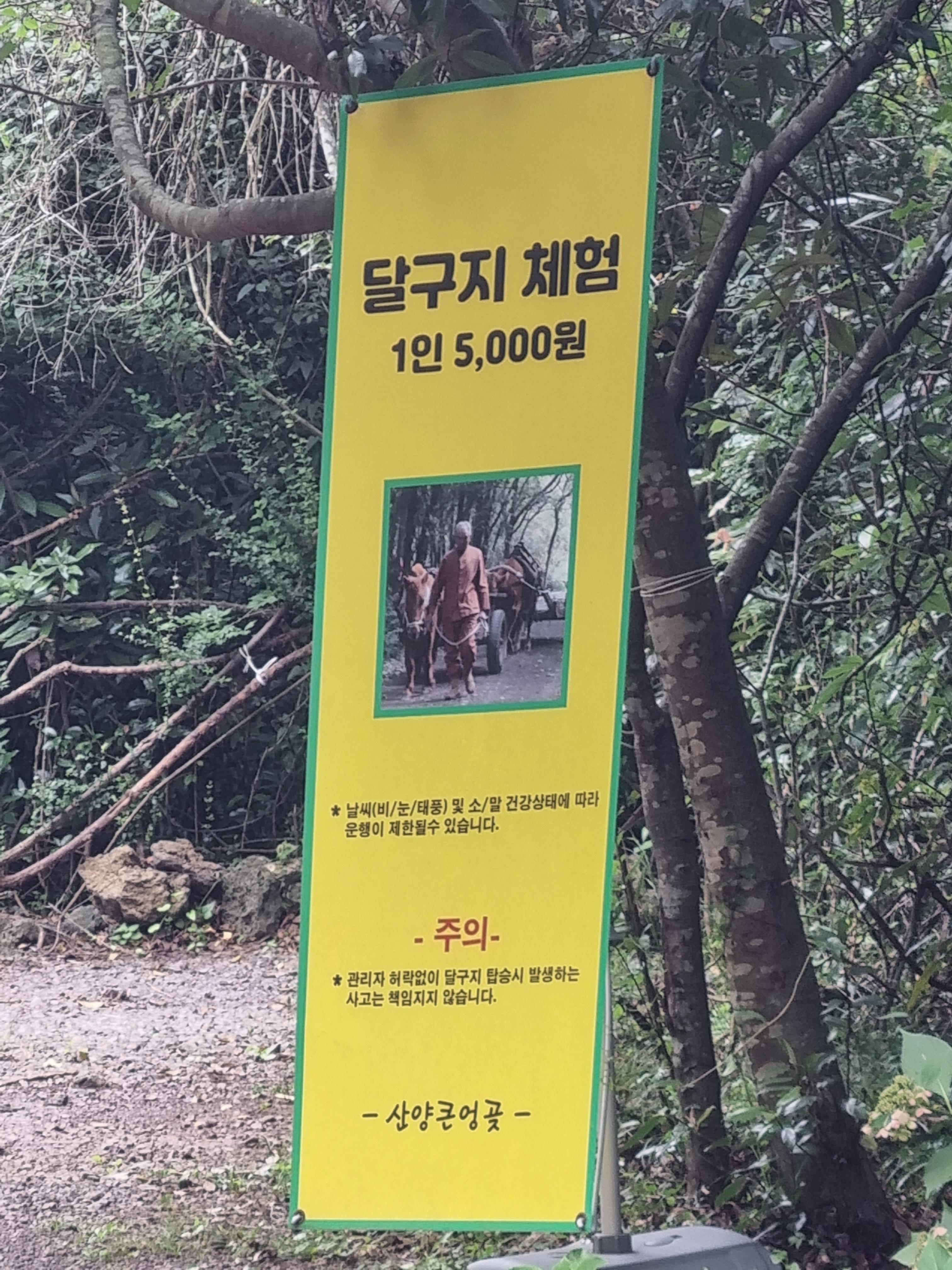 산양큰엉곶
