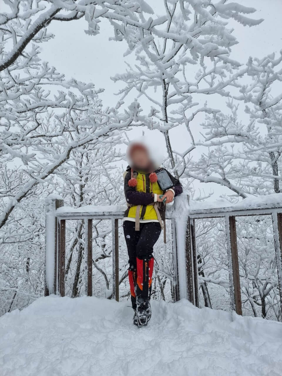 겨울 여행 눈꽃 산행지