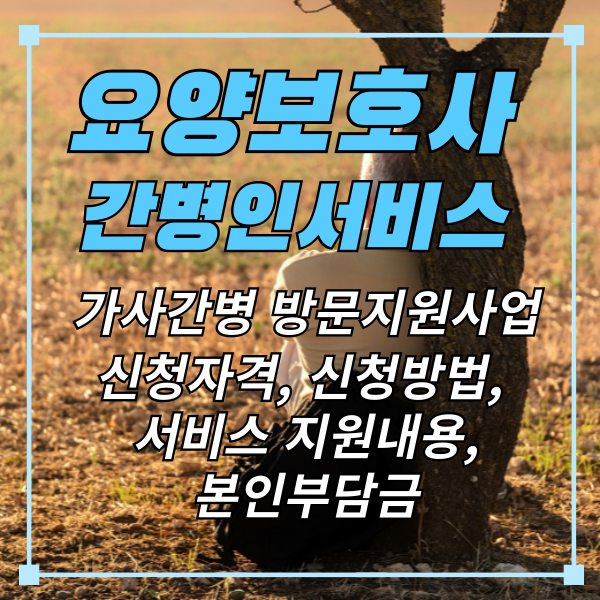 요양보호사-간병인