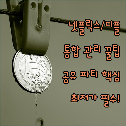 넷플릭스 디즈니플러스까지 통합 관리!..