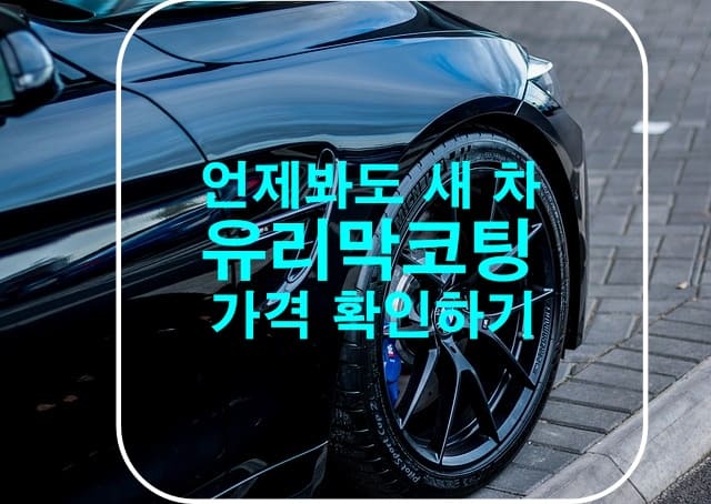 새 차 유지하기