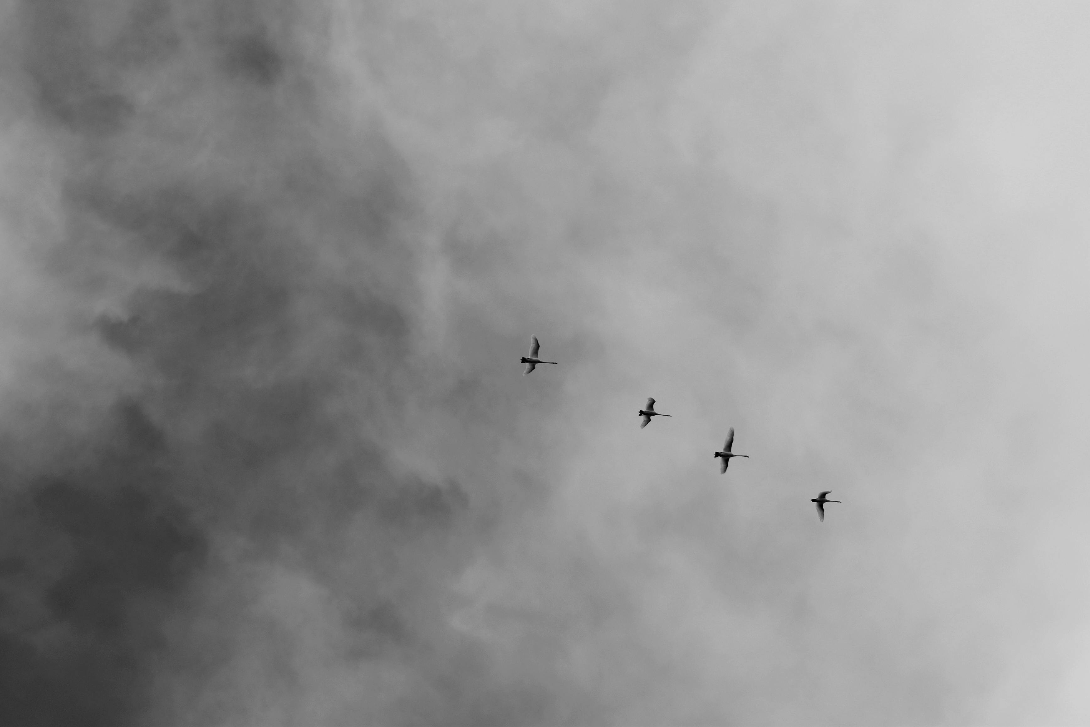 자기장 감지 능력으로 철새처럼 길을 찾던 과거 인간의 능력.