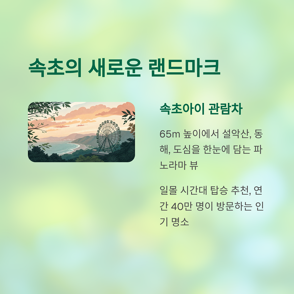 텍스트 이미지