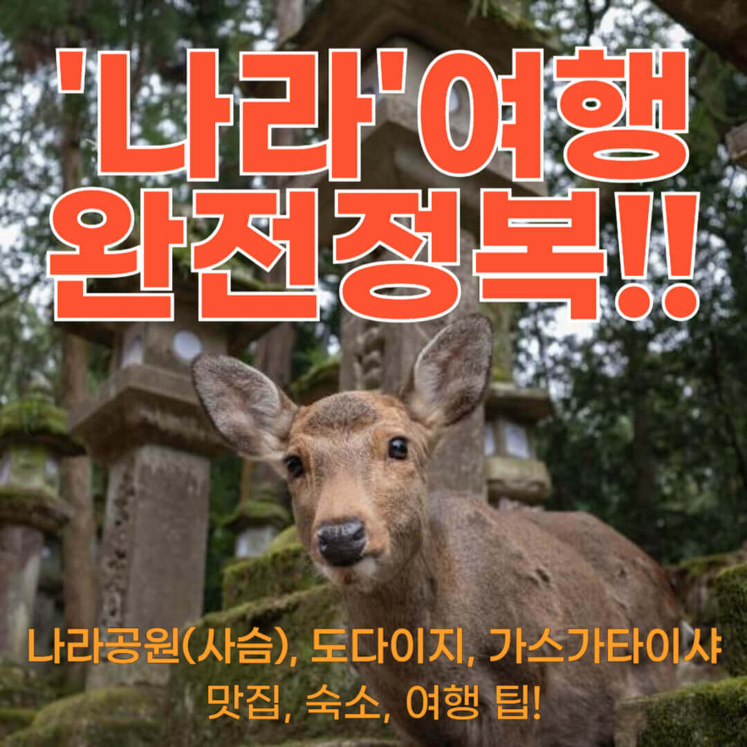 나라여행 사슴공원, 도다이지, 가이가타이샤, 교통편, 오사카에서 나라 가는방법, 교토에서 나라 가는 방법, 추천 숙소, 추천 맛집