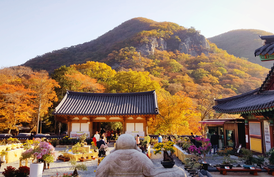 장안사 단풍