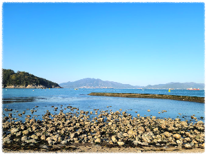 만성리검은모래해변