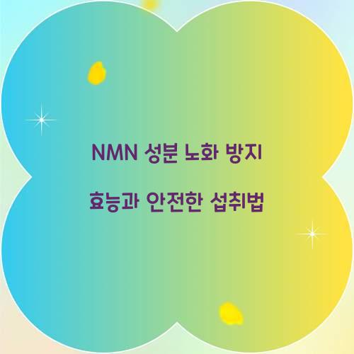 NMN 성분 노화 방지