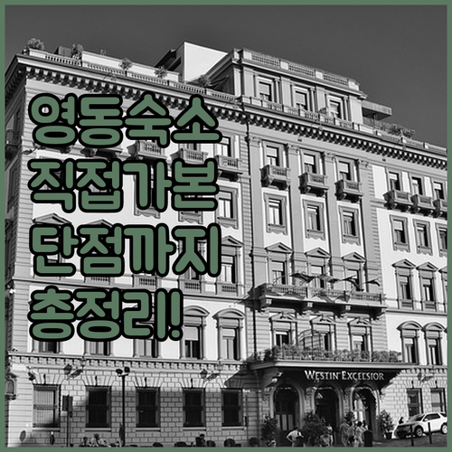 직접 가본 영동 숙소 5곳 장단점과 ..