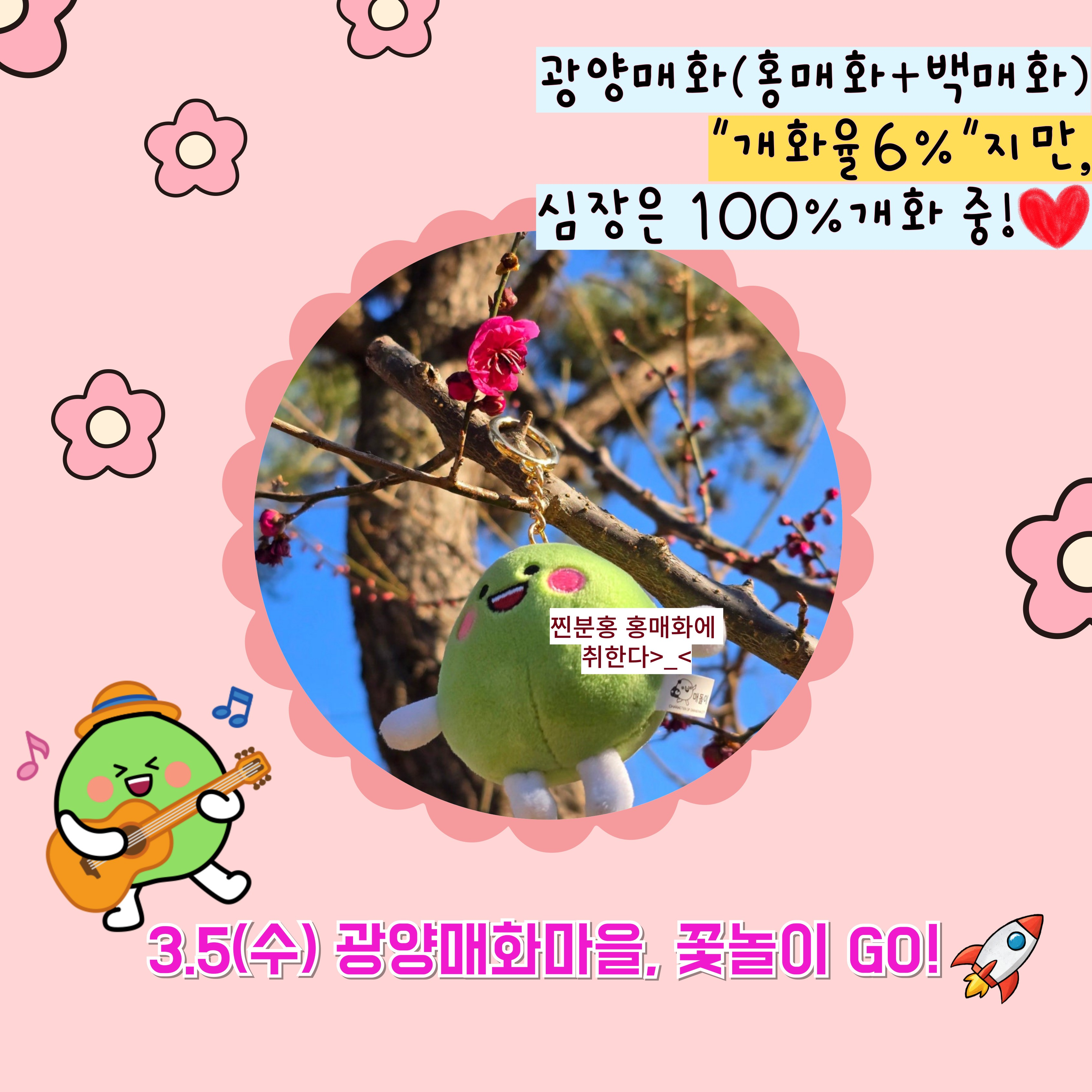 광양 매화축제와 관련 된 사진