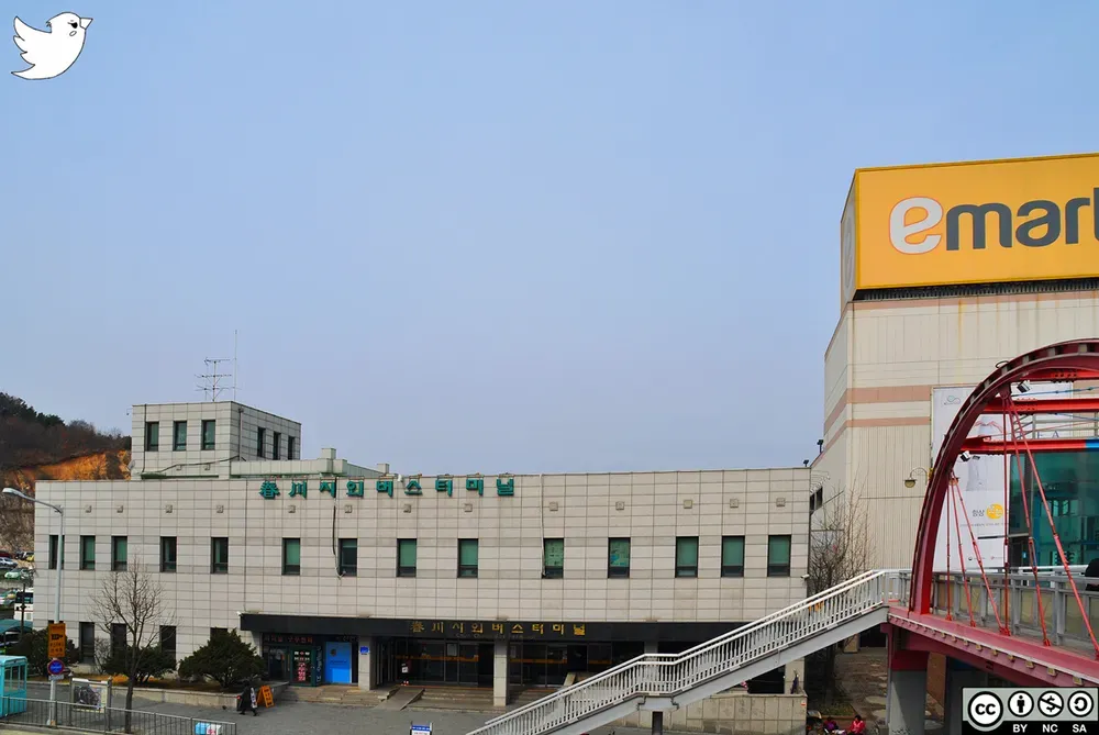 춘천 시외버스터미널 시간표 예매 예약_3