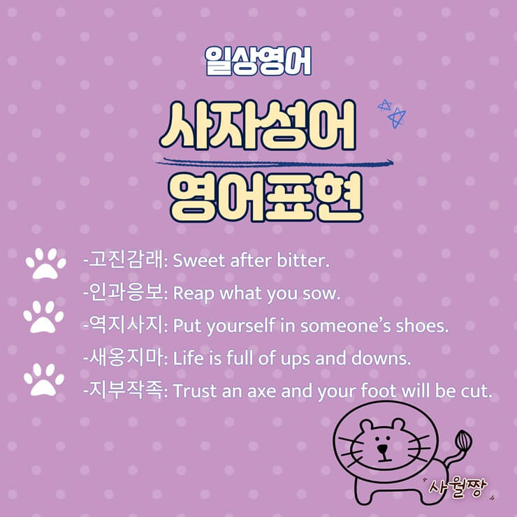 사자성어-영어표현