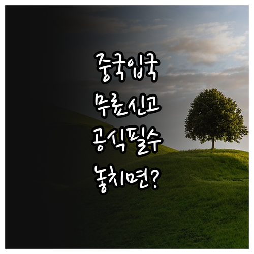 중국 입국신고서 공식 사이트에서 무료..