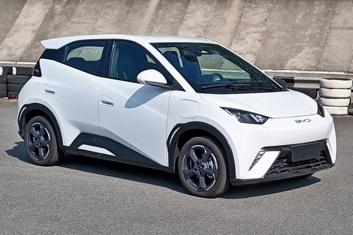 BYD 해치백 씨굴