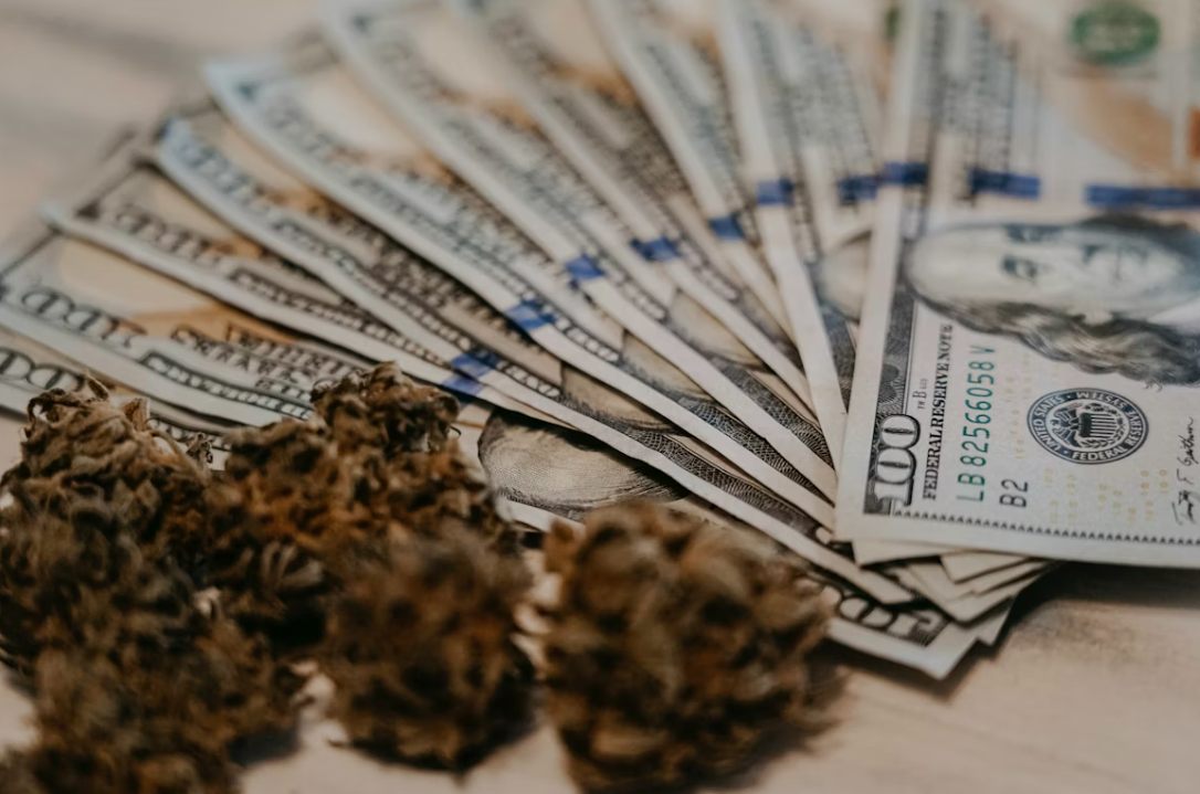 어도비의 크리에이티브 레지던시, 스톡, 포트폴리오