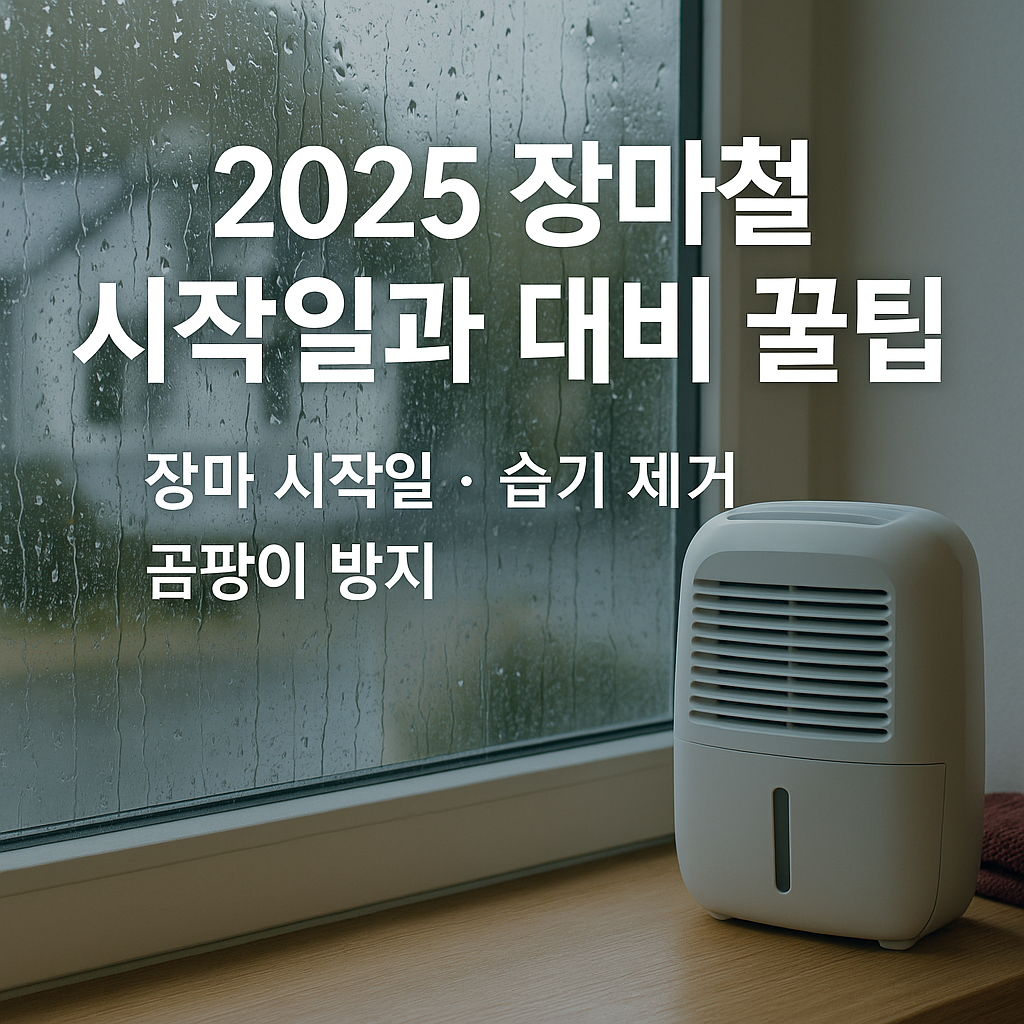 2025 장마철 시작일과 대비 꿀팁 (장마 시작일, 습기 제거, 곰팡이 방지)