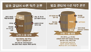 맥주효모추천