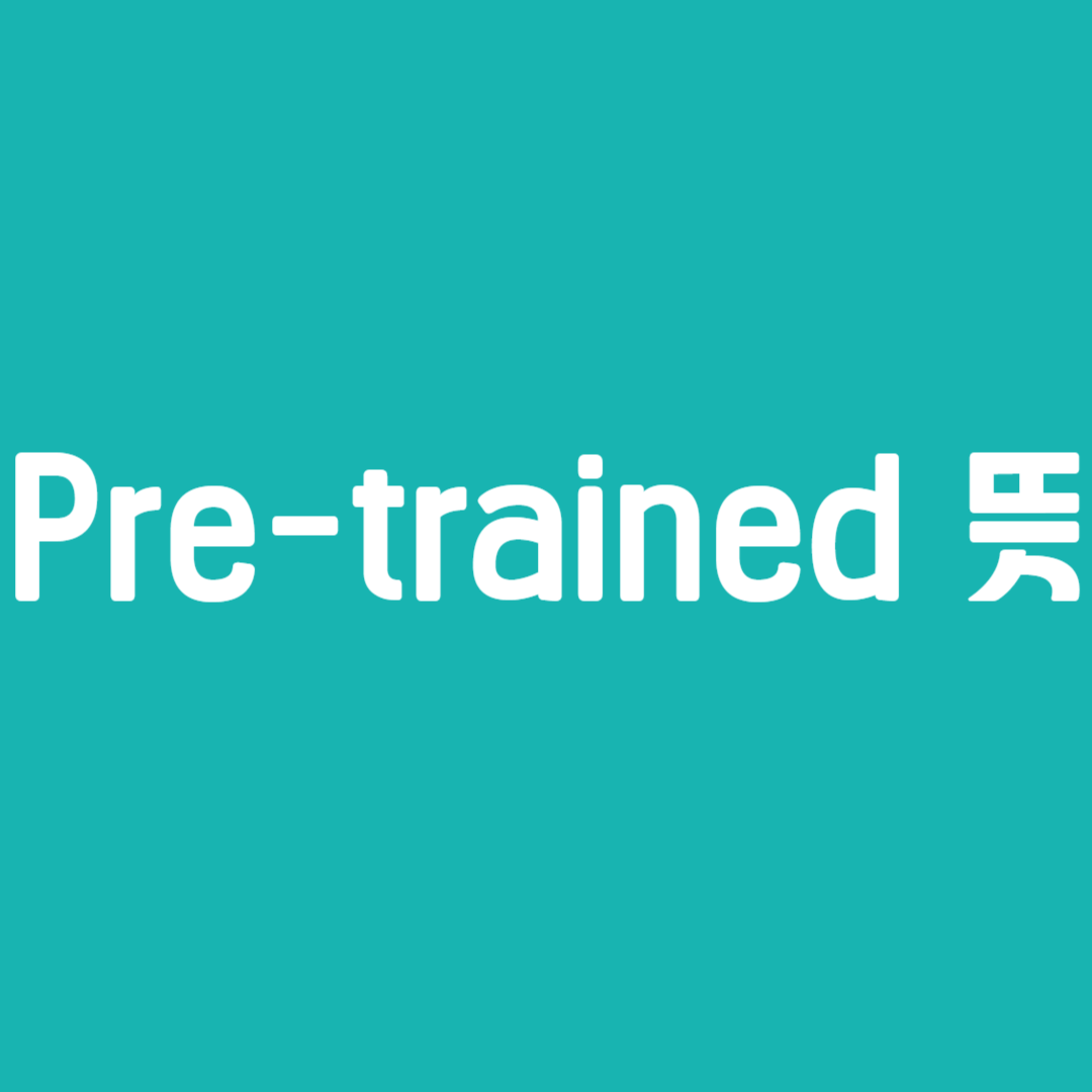 Pre-trained 뜻