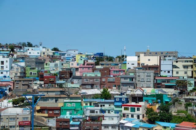 해운대밀면 vs 가야밀면 비교 관련사진