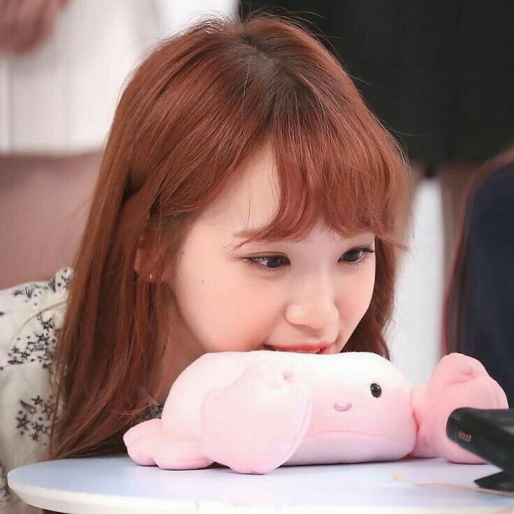 김채원 사진 모음