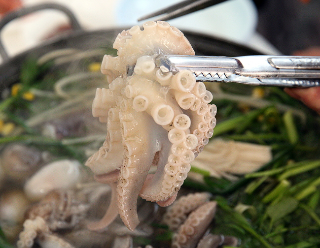 서천 쭈꾸미 축제 가격 맛집