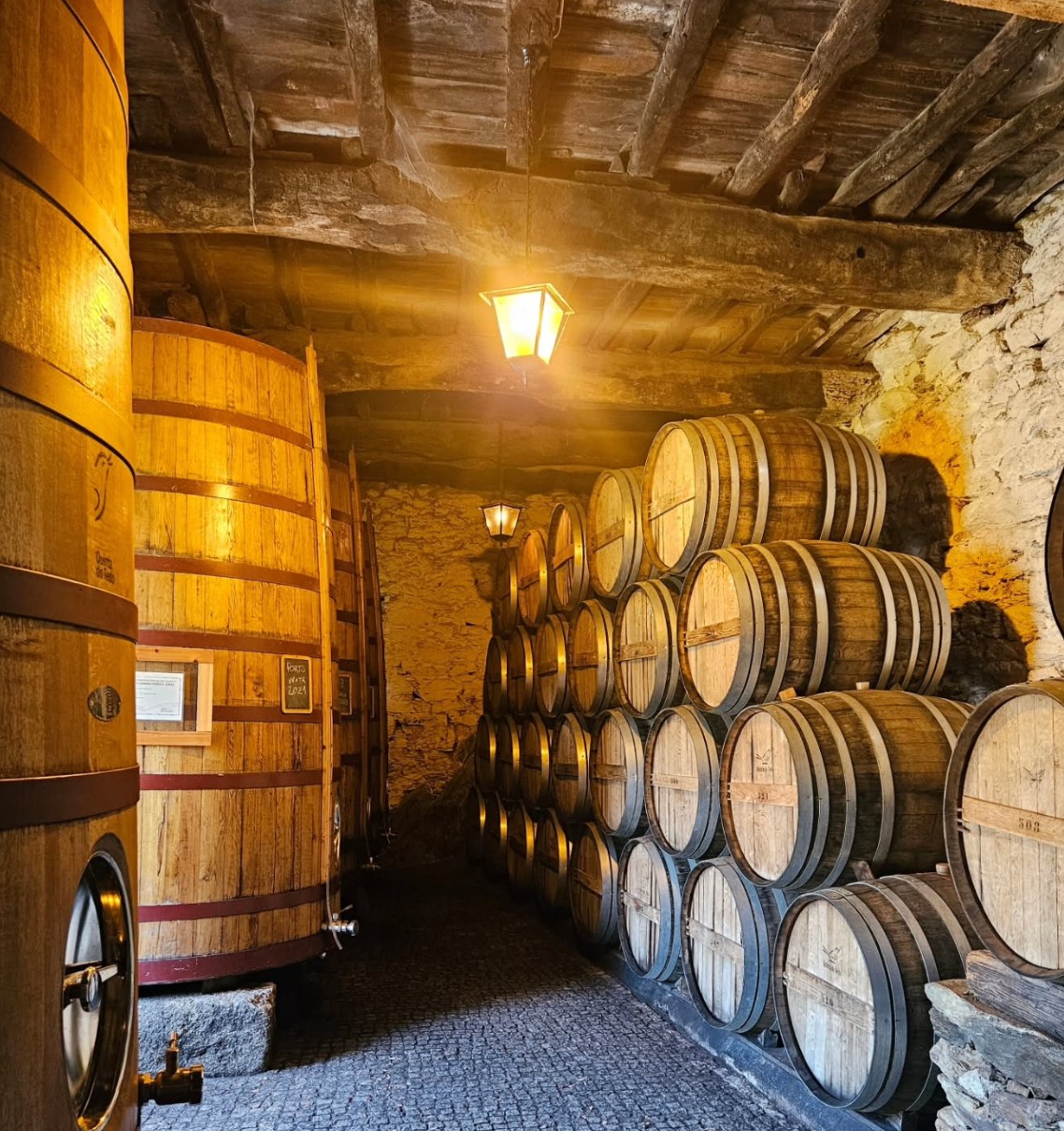 오크 발효 또는 오크 숙성