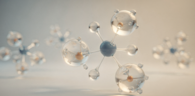 루이보스차의 효능