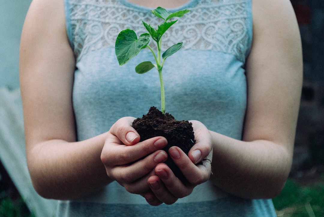 Planting