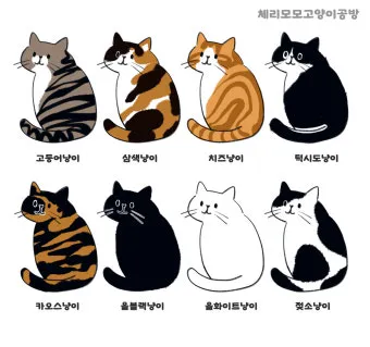 코리안숏헤어 코숏 고양이 종류 몸무게 고등어_31