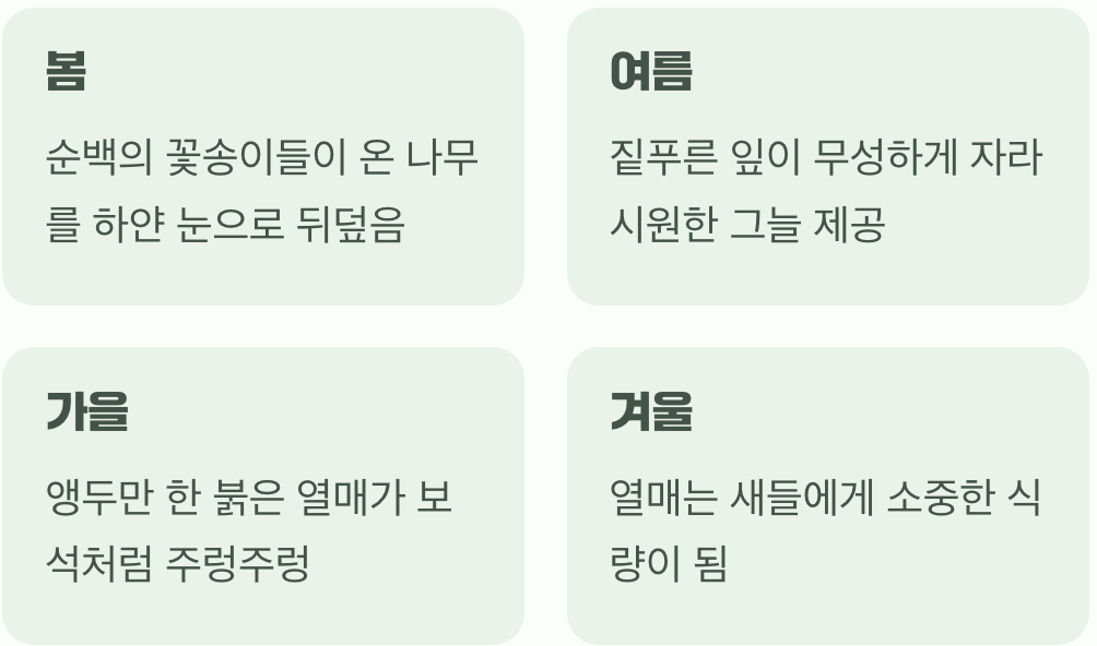 사계절의 선물, 지루할 틈 없는 팔색조