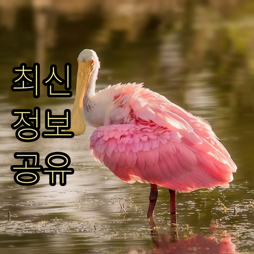 똑똑한 해외여행: ESTA $21 인..