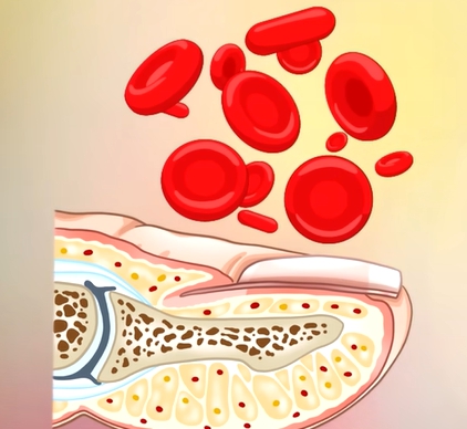 손톱에 세로줄이 생기는 이유