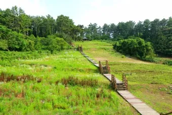 제주 항파두리 유적지 역사 공부 겸 산책코스 소개_23
