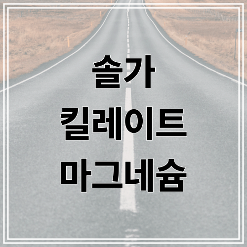 솔가 킬레이트 마그네슘