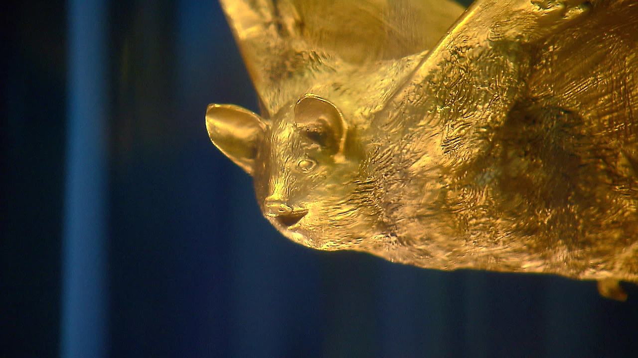 함평 황금박쥐상