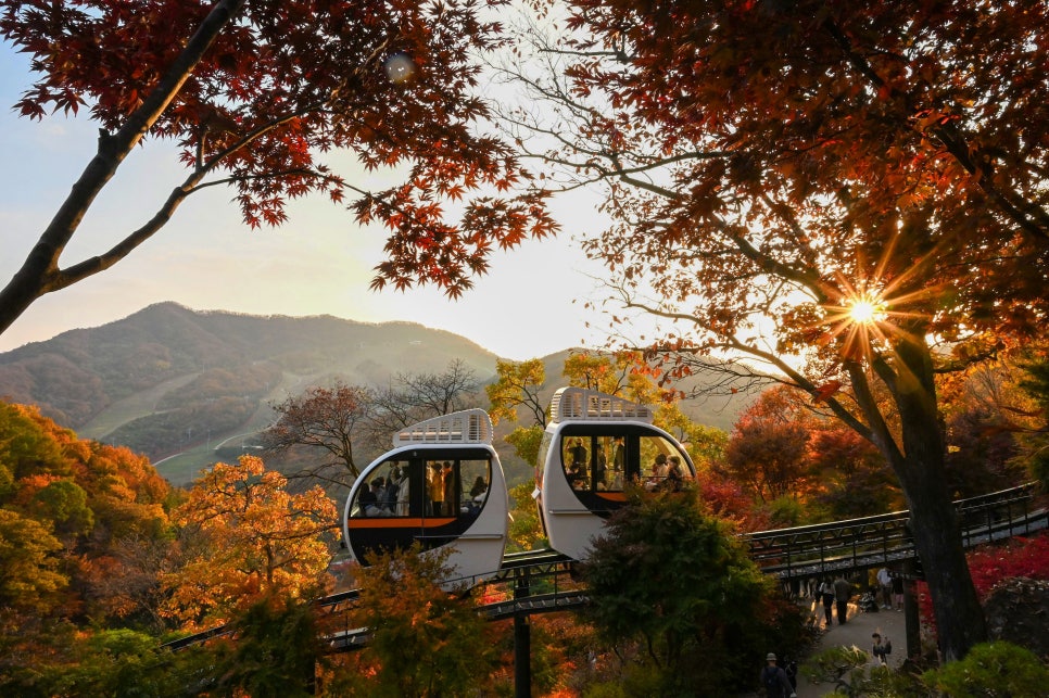 화담숲-예약-방법-2025년-최신-입장료-완벽-가이드