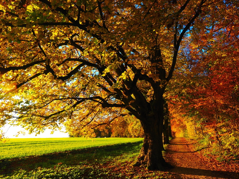 가을 단풍 절정 여행지: 풍경, 인생샷, 힐링