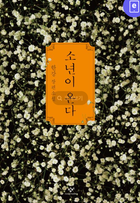 소년이온다e북