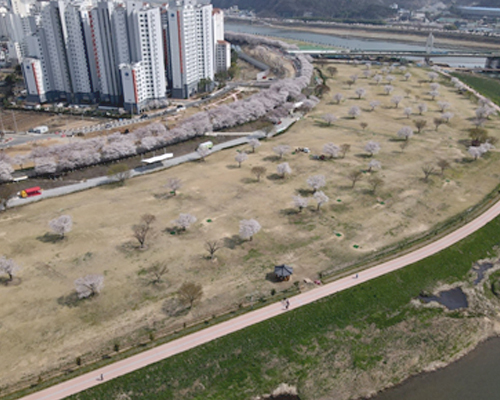 선학파크골프장 예약