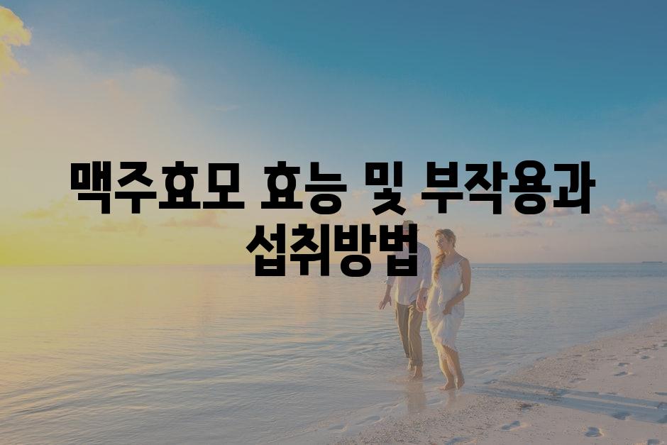 샘플 (4)