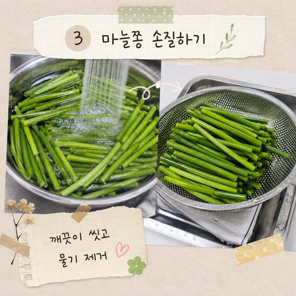 마늘쫑장아찌 맛있게 담그는법