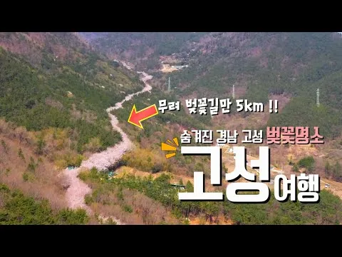 경남 고성 맛집 베스트10 현지인 숨겨진 맛집_8