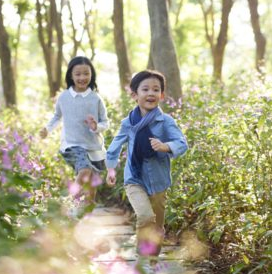 봄철 알레르기 : 증상과 대응 전략