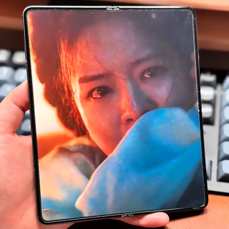 종려-부인-황보름별