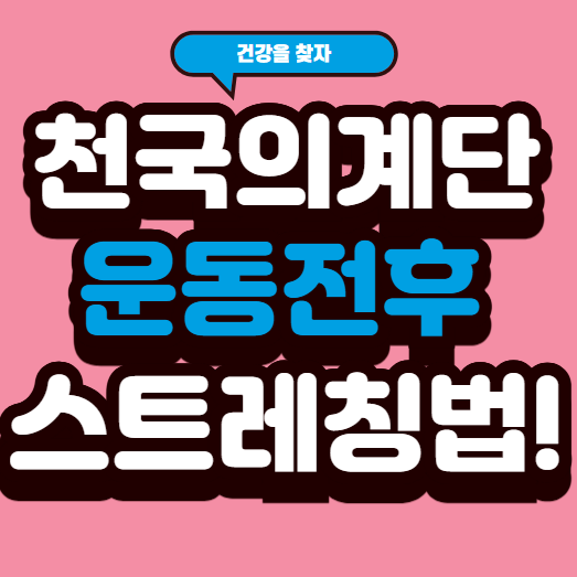 천국의 계단 다이어트, 운동 전후 스트레칭 필수!